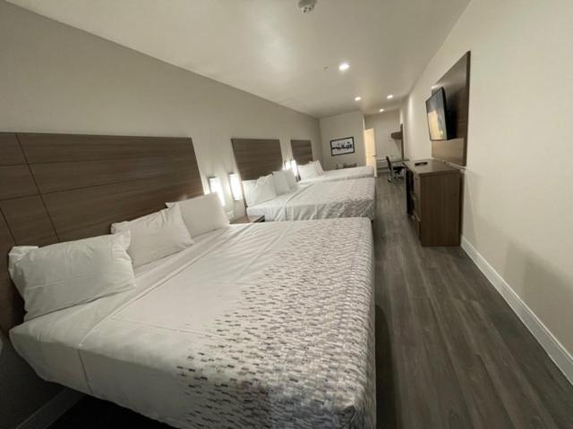 Palace Inn Blue - Garth Rd 贝敦 外观 照片